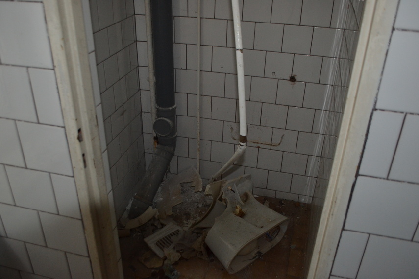 Pokoszarowe (nie)porządki (Rok później) zdjęcie nr 345832