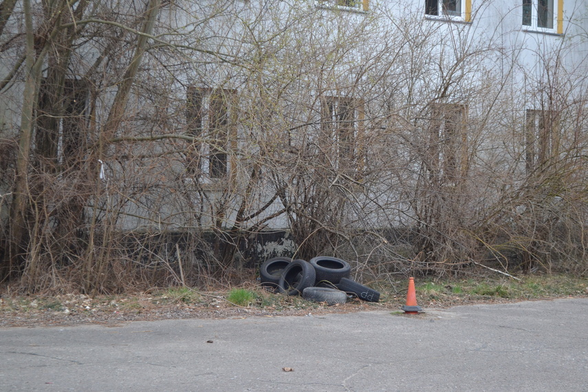 Pokoszarowe (nie)porządki (Rok później) zdjęcie nr 345815