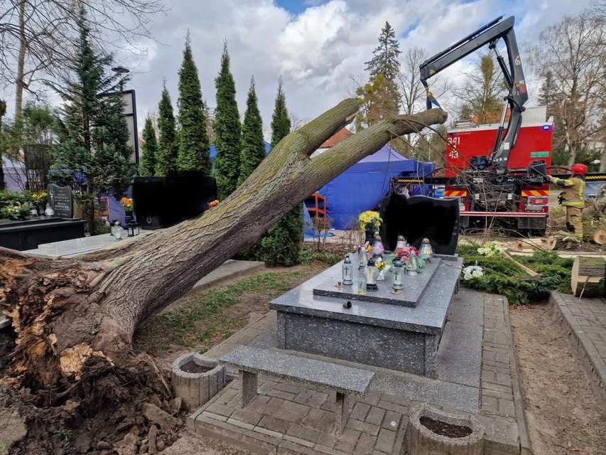 Silny wiatr dał się we znaki  zdjęcie nr 345874