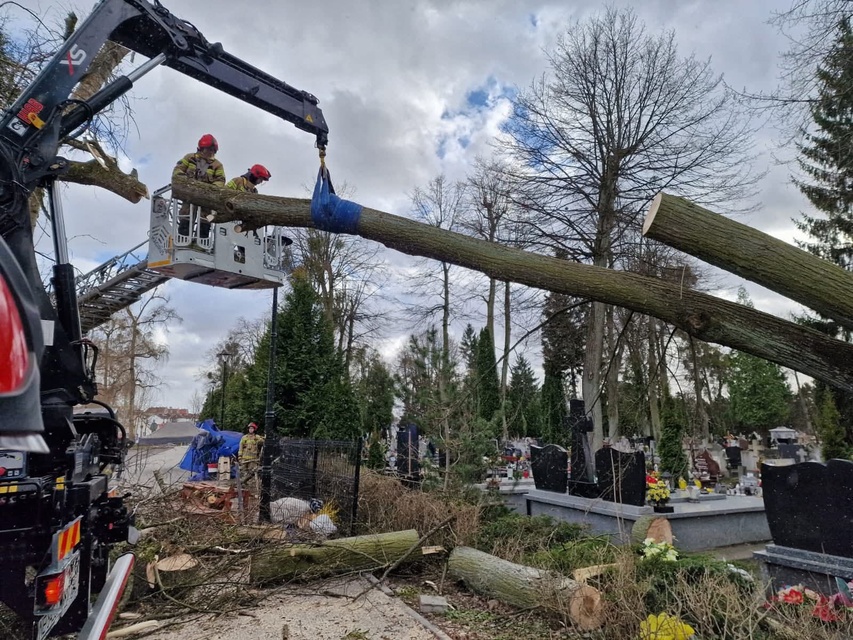 Silny wiatr dał się we znaki  zdjęcie nr 345872