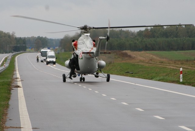 Grzechotnik 2009 zdjęcie nr 27909
