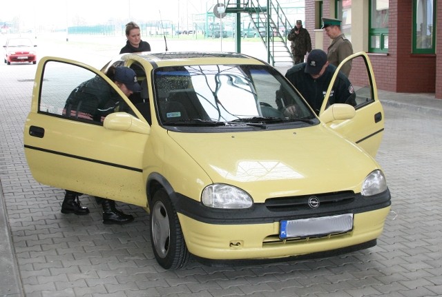 Grzechotnik 2009 zdjęcie nr 27884