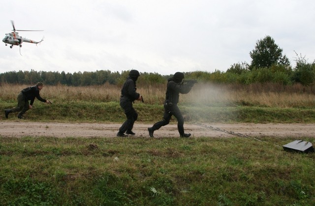 Grzechotnik 2009 zdjęcie nr 27916
