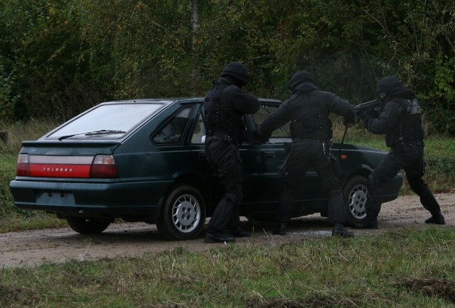 Grzechotnik 2009 zdjęcie nr 27918