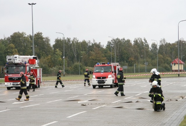 Grzechotnik 2009 zdjęcie nr 27898