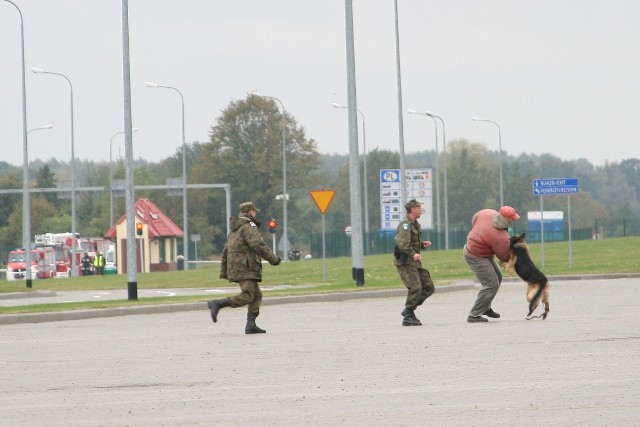 Grzechotnik 2009 zdjęcie nr 27890