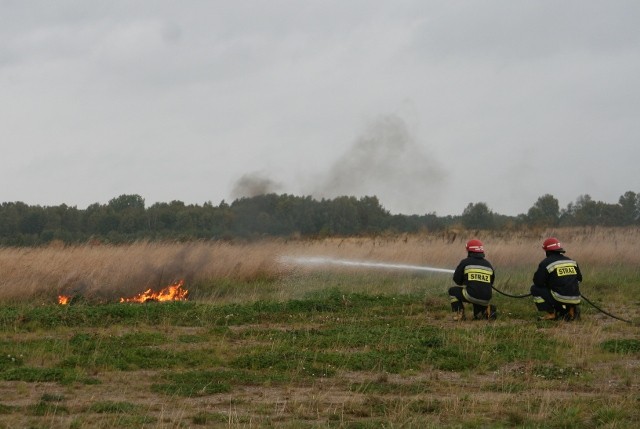 Grzechotnik 2009 zdjęcie nr 27936
