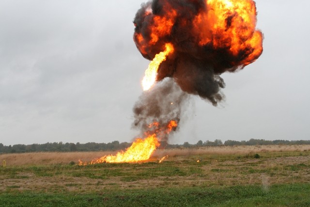 Grzechotnik 2009 zdjęcie nr 27934