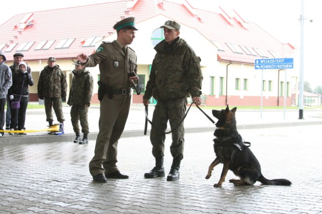 Grzechotnik 2009 zdjęcie nr 27894