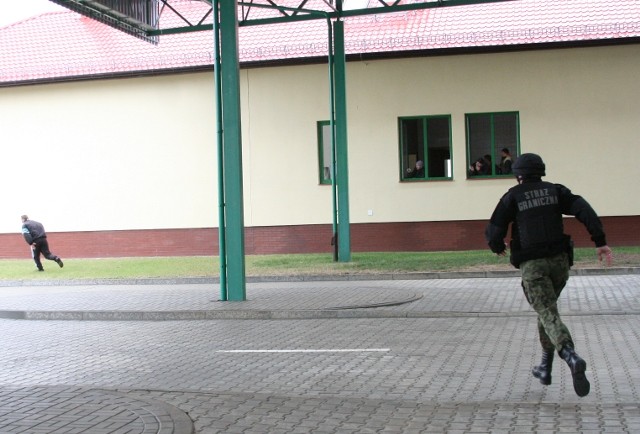 Grzechotnik 2009 zdjęcie nr 27887