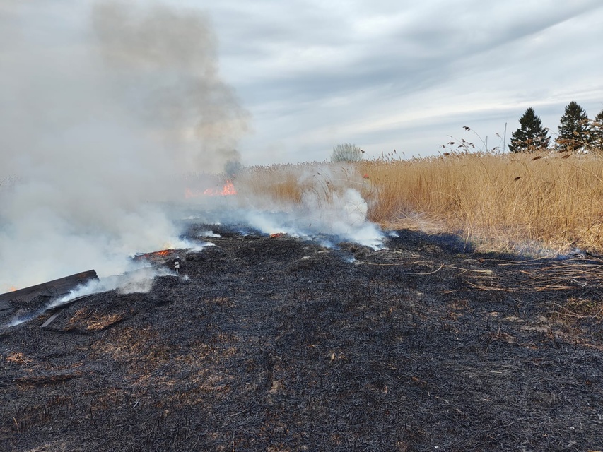 Kolejny pożar trzcinowiska zdjęcie nr 346082
