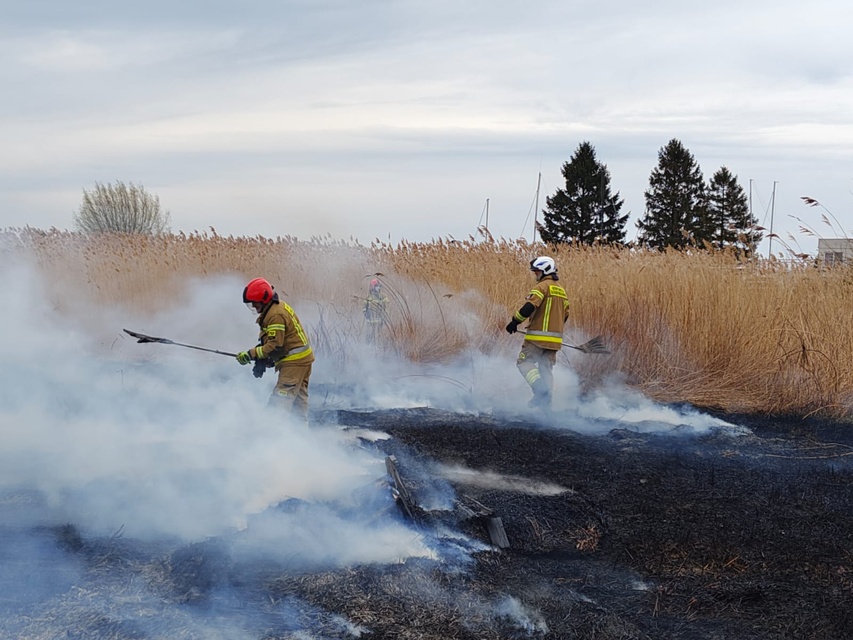 Kolejny pożar trzcinowiska zdjęcie nr 346080