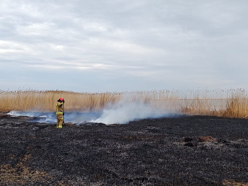 Kolejny pożar trzcinowiska zdjęcie nr 346083