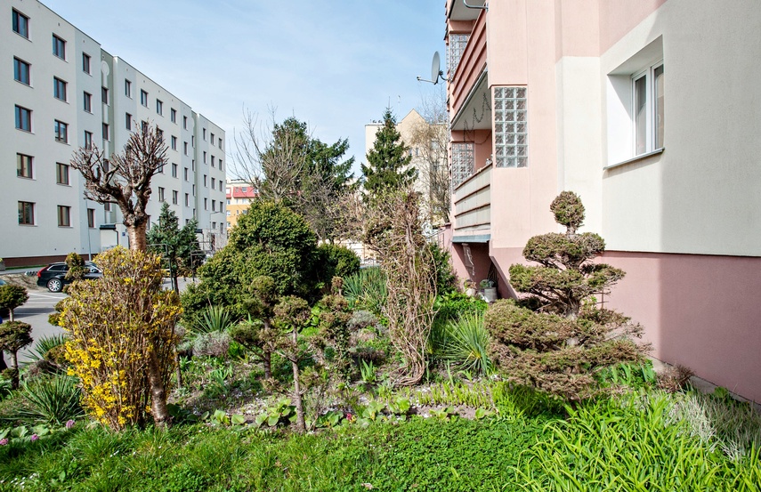 Mieszkańcy: Pielęgnowaliśmy to trzydzieści lat, teraz spółdzielnia każe wszystko usunąć zdjęcie nr 346325