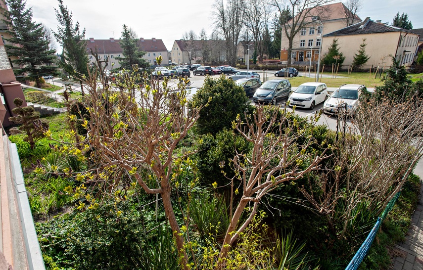 Mieszkańcy: Pielęgnowaliśmy to trzydzieści lat, teraz spółdzielnia każe wszystko usunąć zdjęcie nr 346334