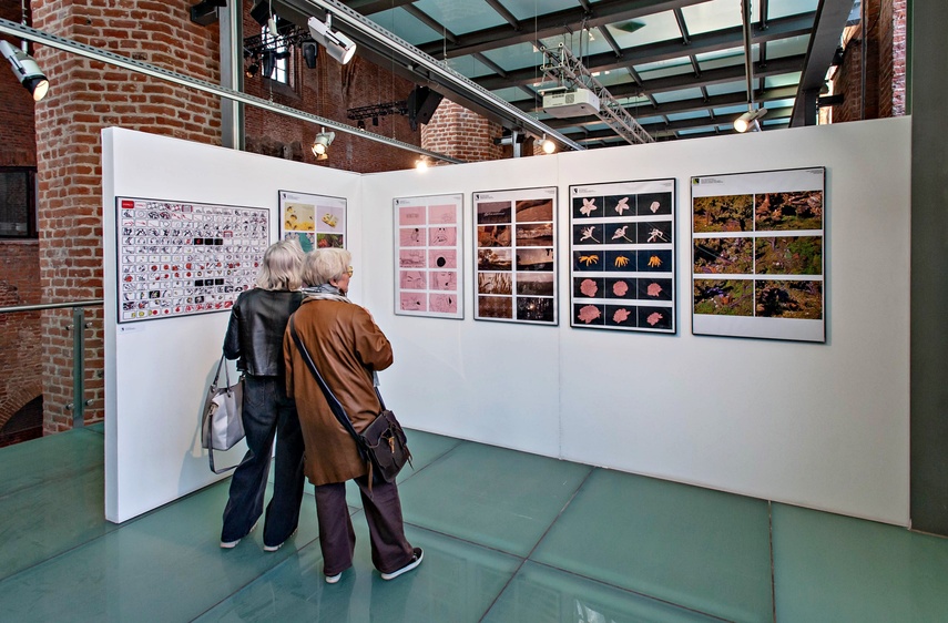 Absolwenci zaprezentowali swoją twórczość zdjęcie nr 346480