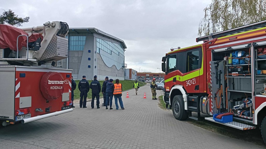 Ćwiczenia „Elbląg 2026”, „Truso 2026” zdjęcie nr 346949