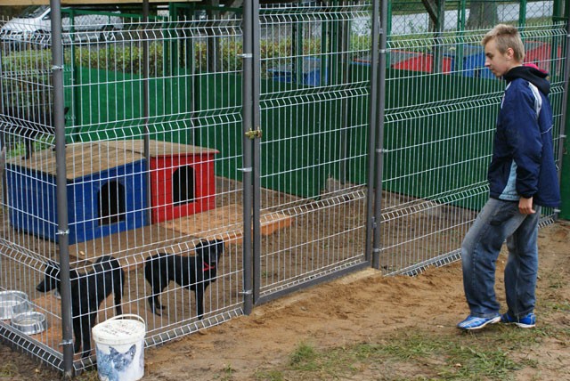 Święto Zwierząt zdjęcie nr 27965