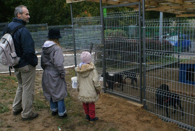 Sobotni gości schroniska przy nowo wybudowanej szczeniakarni