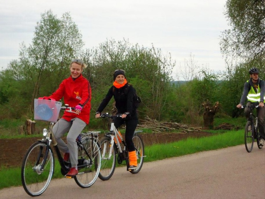 Pasja i pomysłowość, czyli co piszczy w WMBP w Elblągu zdjęcie nr 347126