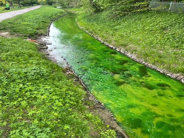 Awaria w EPEC i zielona Kumiela zdjęcie nr 347794
