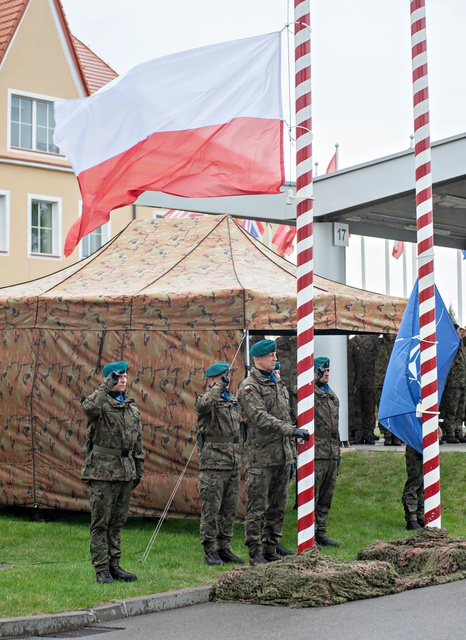 Wielonarodowa dywizja z nowym dowódcą zdjęcie nr 347811