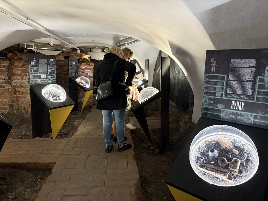 Od wikingów po mapping, czyli Noc Muzeów po elbląsku zdjęcie nr 347927
