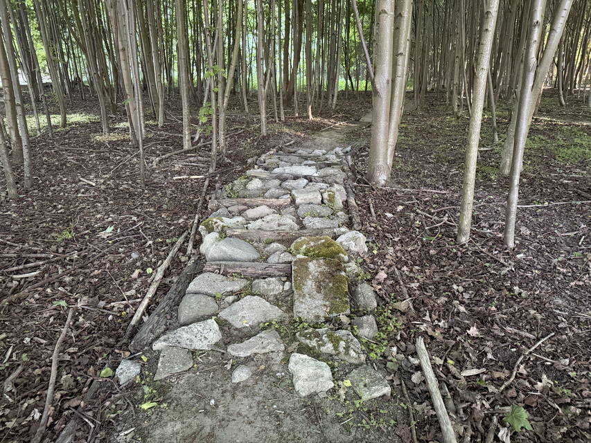 Rowerem na elbląski Bikepark zdjęcie nr 348744