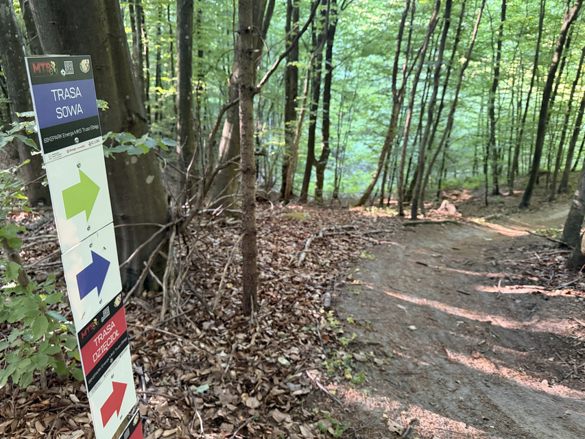 Rowerem na elbląski Bikepark zdjęcie nr 348733