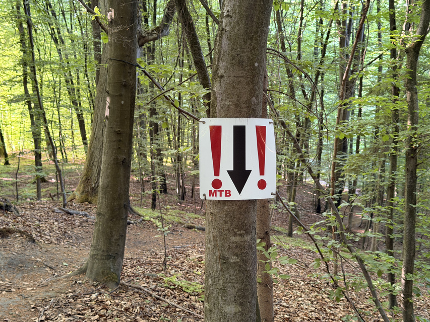 Rowerem na elbląski Bikepark zdjęcie nr 348734