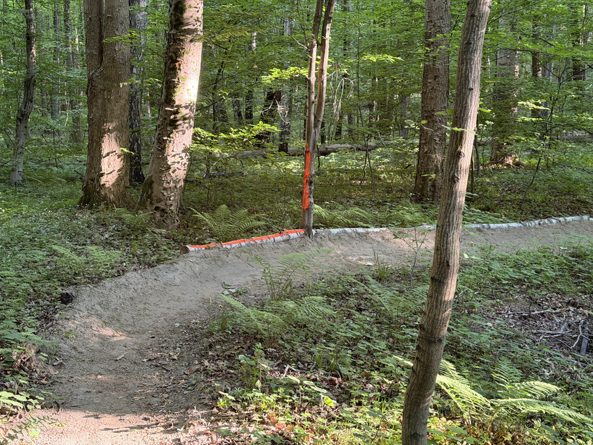 Rowerem na elbląski Bikepark zdjęcie nr 348739