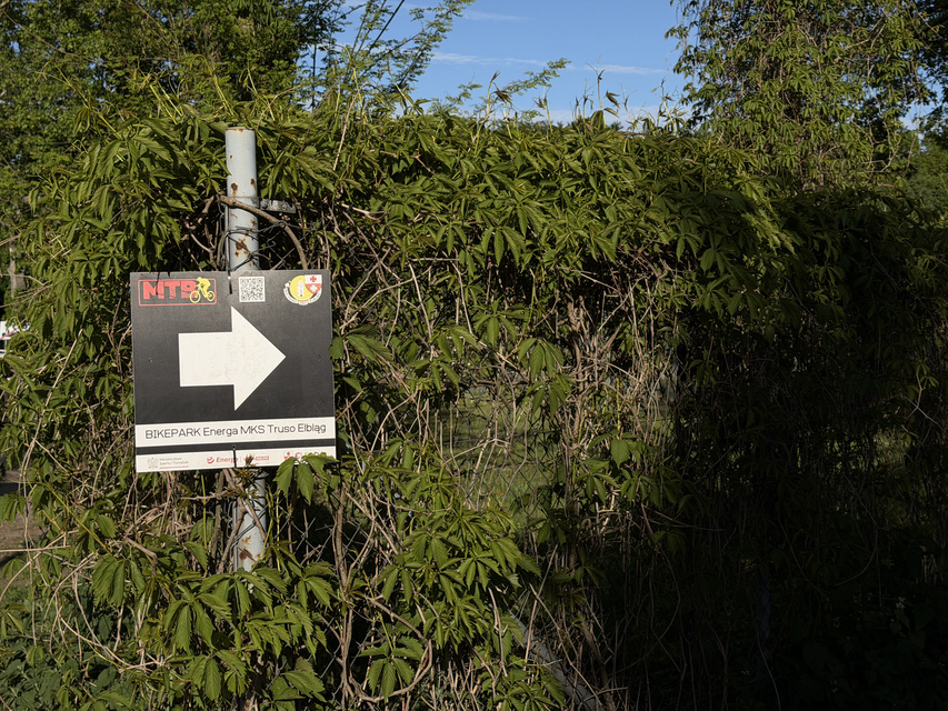 Rowerem na elbląski Bikepark zdjęcie nr 348725