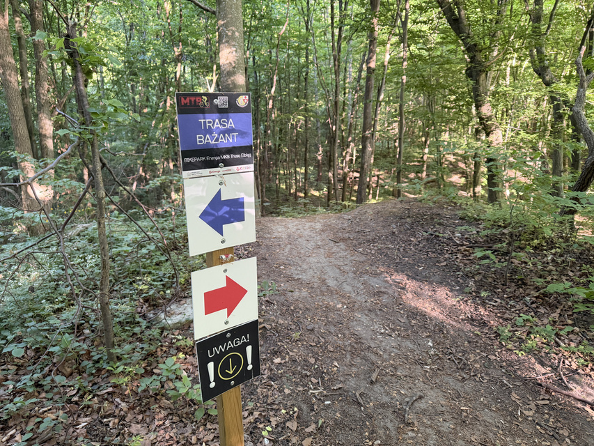 Rowerem na elbląski Bikepark zdjęcie nr 348728