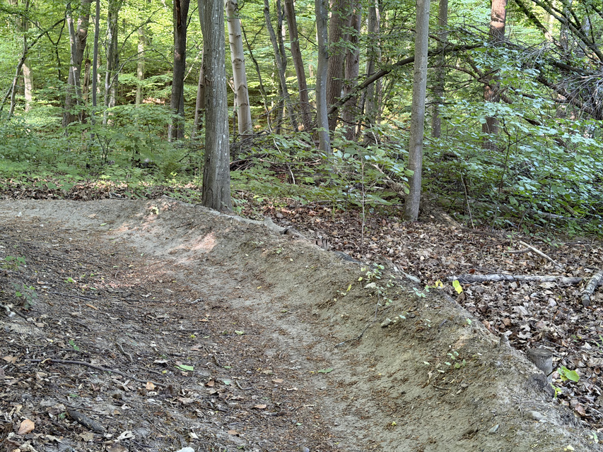 Rowerem na elbląski Bikepark zdjęcie nr 348730