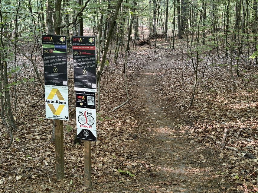 Rowerem na elbląski Bikepark zdjęcie nr 348735
