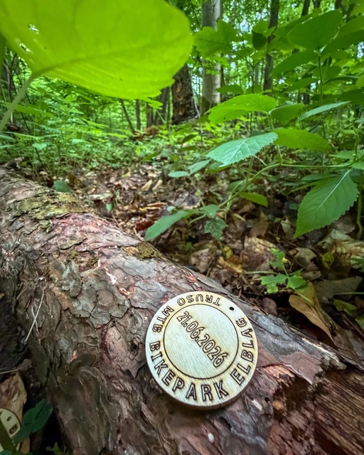 Wyjątkowe statuetki zawodów Truso MTB zdjęcie nr 349270