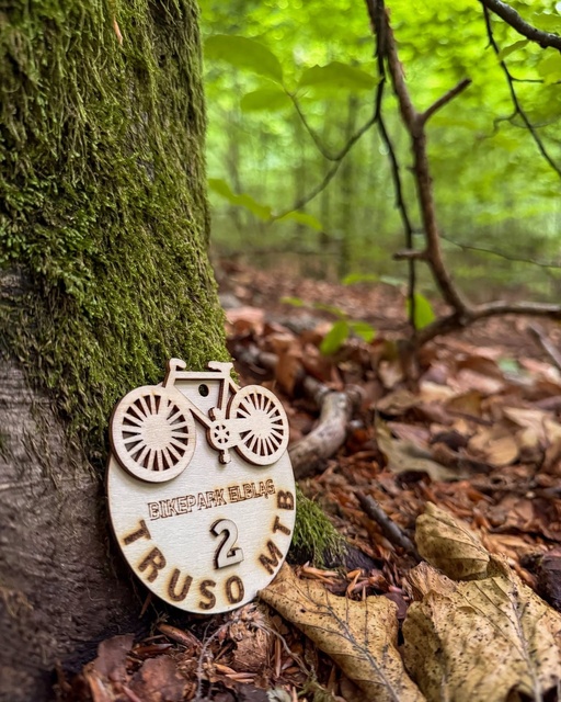 Wyjątkowe statuetki zawodów Truso MTB zdjęcie nr 349268