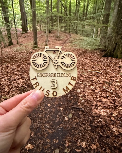 Wyjątkowe statuetki zawodów Truso MTB zdjęcie nr 349267