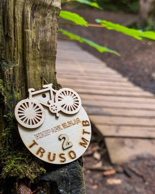 Wyjątkowe statuetki zawodów Truso MTB zdjęcie nr 349265