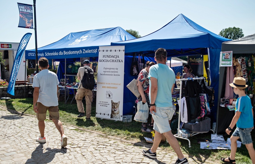 dni ega zdjęcie nr 350660