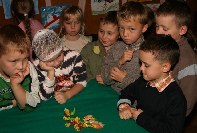 Festyn dla dzieci z okazji dnia ratownictwa medycznego zdjęcie nr 28279