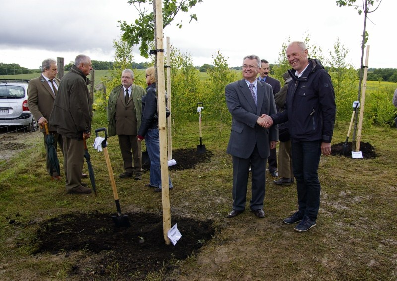 Dęby przyjaźni na elbląskiej Modrzewinie (w obiektywie Henryka Myślińskiego) zdjęcie nr 351409 Dęby przyjaźni na elbląskiej Modrzewinie (w obiektywie Henryka Myślińskiego) zdjęcie nr 351409
