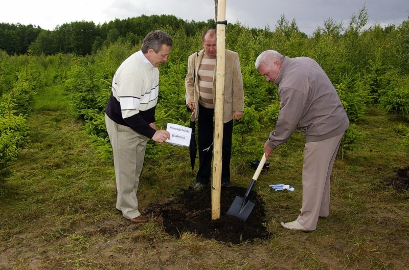 Dęby przyjaźni na elbląskiej Modrzewinie (w obiektywie Henryka Myślińskiego) zdjęcie nr 351407 Dęby przyjaźni na elbląskiej Modrzewinie (w obiektywie Henryka Myślińskiego) zdjęcie nr 351407