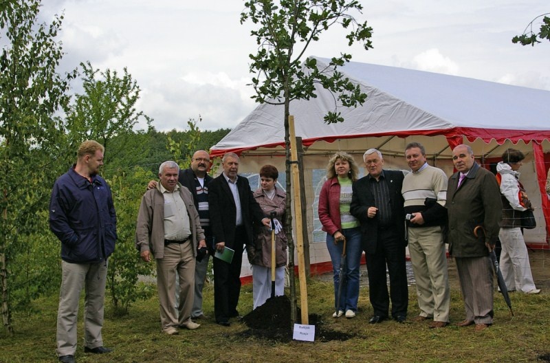 Dęby przyjaźni na elbląskiej Modrzewinie (w obiektywie Henryka Myślińskiego) zdjęcie nr 351412 Dęby przyjaźni na elbląskiej Modrzewinie (w obiektywie Henryka Myślińskiego) zdjęcie nr 351412