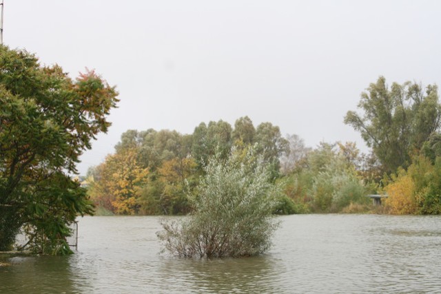 Elbląg Podtopienie Panieńskiej