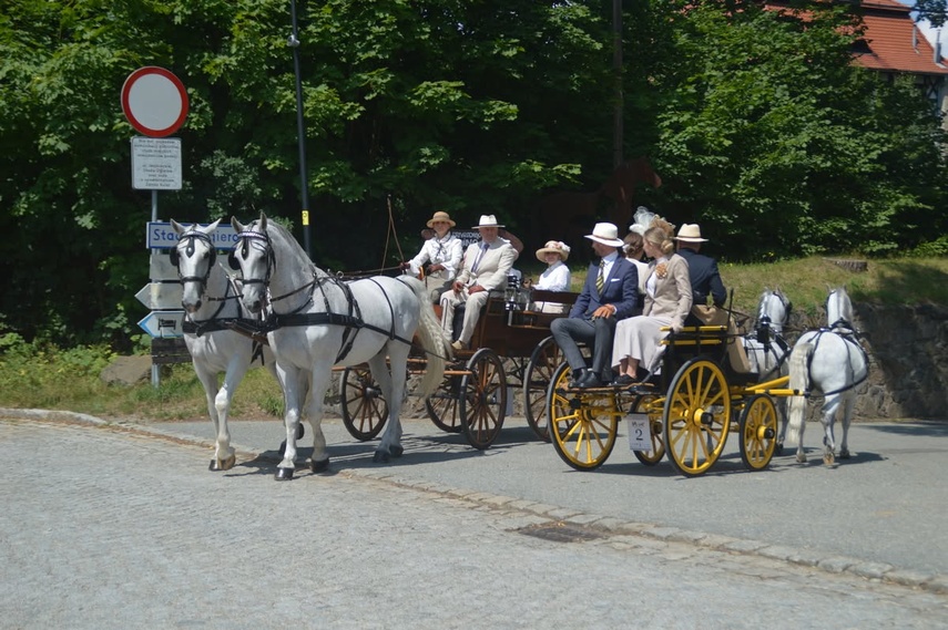 Zdobyła wicemistrzostwo Polski w tradycyjnym powożeniu zdjęcie nr 351692