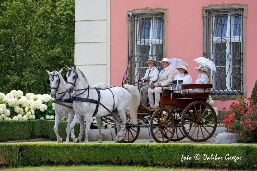 Zdobyła wicemistrzostwo Polski w tradycyjnym powożeniu zdjęcie nr 351695