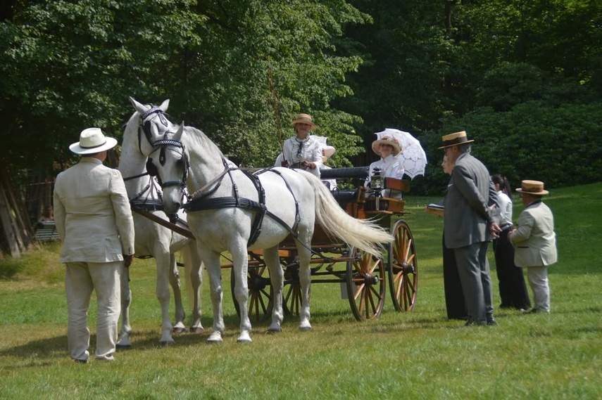 Zdobyła wicemistrzostwo Polski w tradycyjnym powożeniu zdjęcie nr 351683