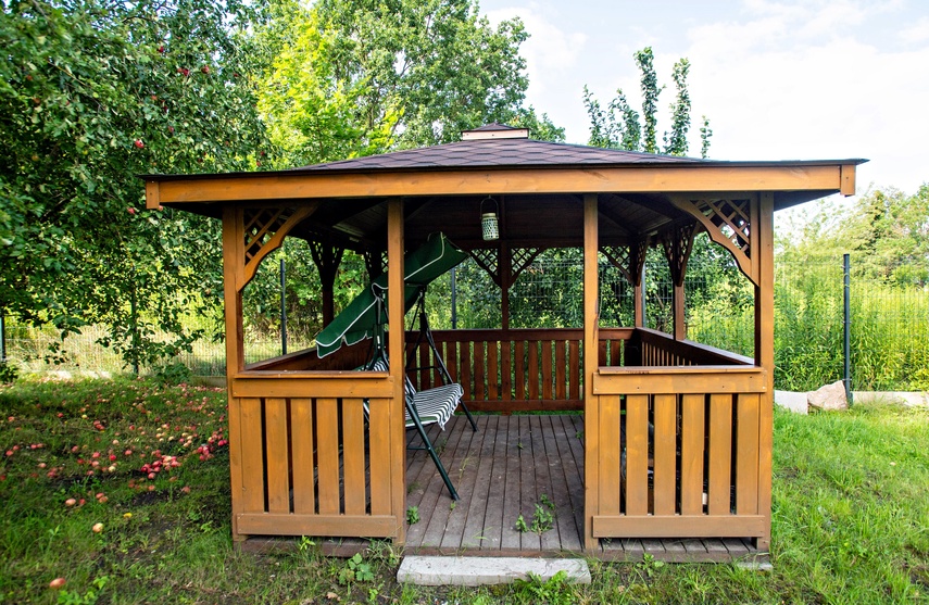 ogród społeczny zdjęcie nr 351775