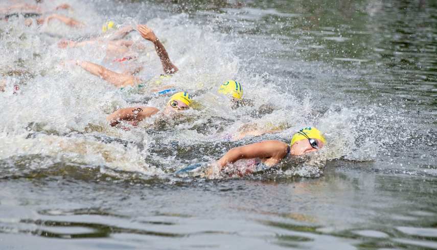Triathlonowe Mistrzostwa Europy w Elblągu wystartowały zdjęcie nr 351833